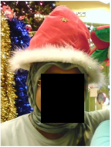 topi%2Bsanta.jpg
