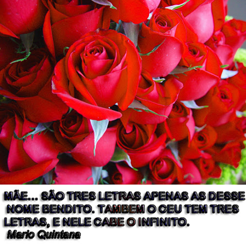 imagem-flores-rara-minha-m%C3%A3e.jpg