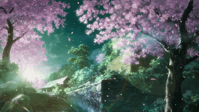 Gambar Animasi Pemandangan Alam Bergerak Indah Bunga Sakura 