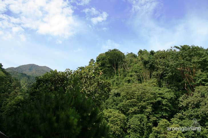 curug nangka bogor