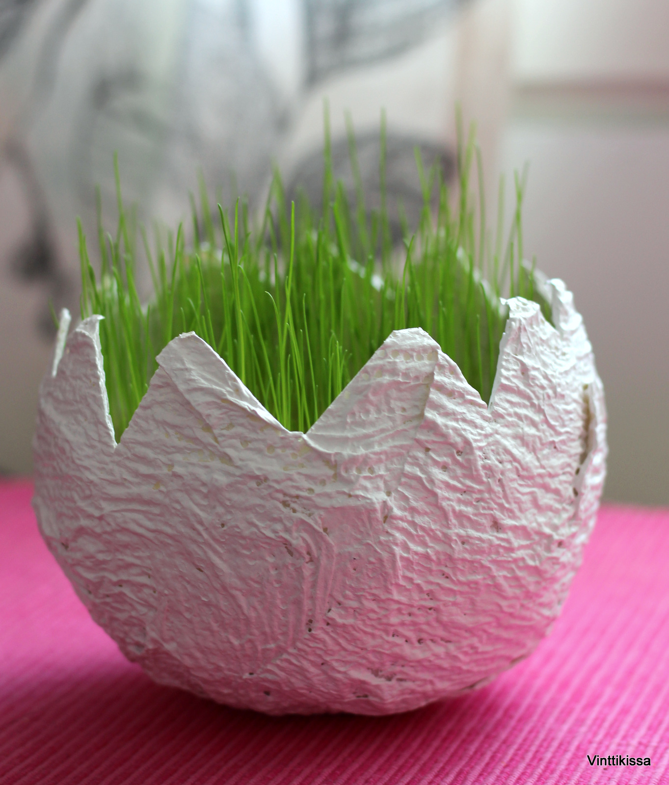 teini kusipää kuvia