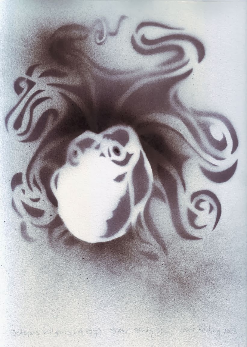 Signs of Activity Stencil/Spraypaint Octopus vulgaris I