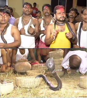 snake