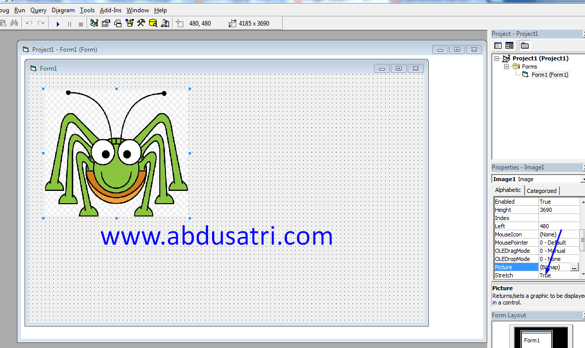 Picturebox windows form. Picturebox windows form