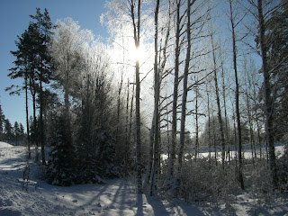 Vinterpromenad%2Blunchen - Bra medicin mot min förkylning