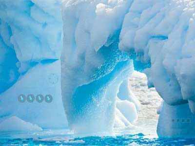 Antarctic Dolphin Escape