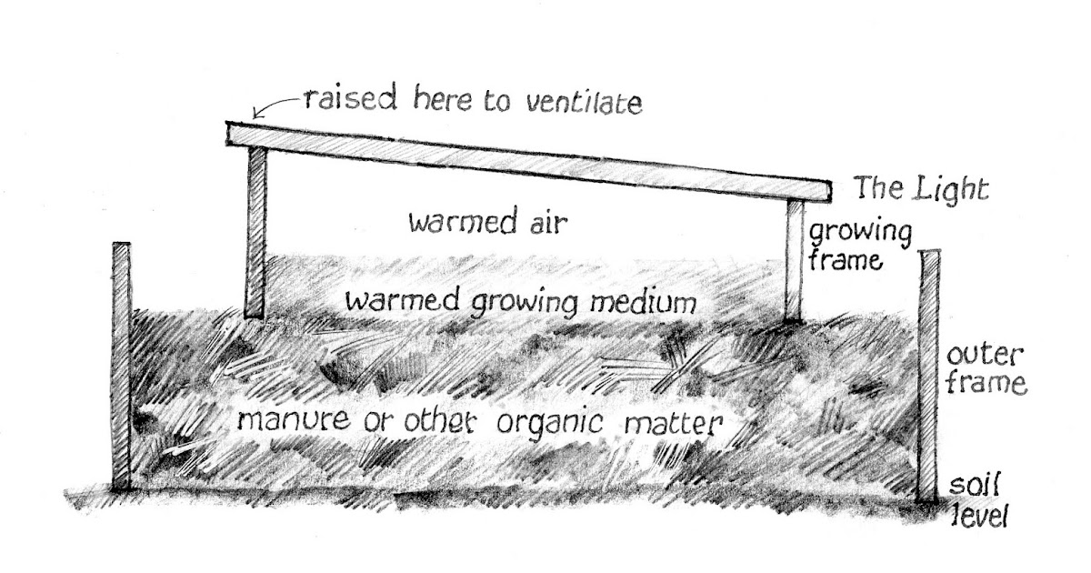 Hot Beds by Subhrajyoti's Horticulture