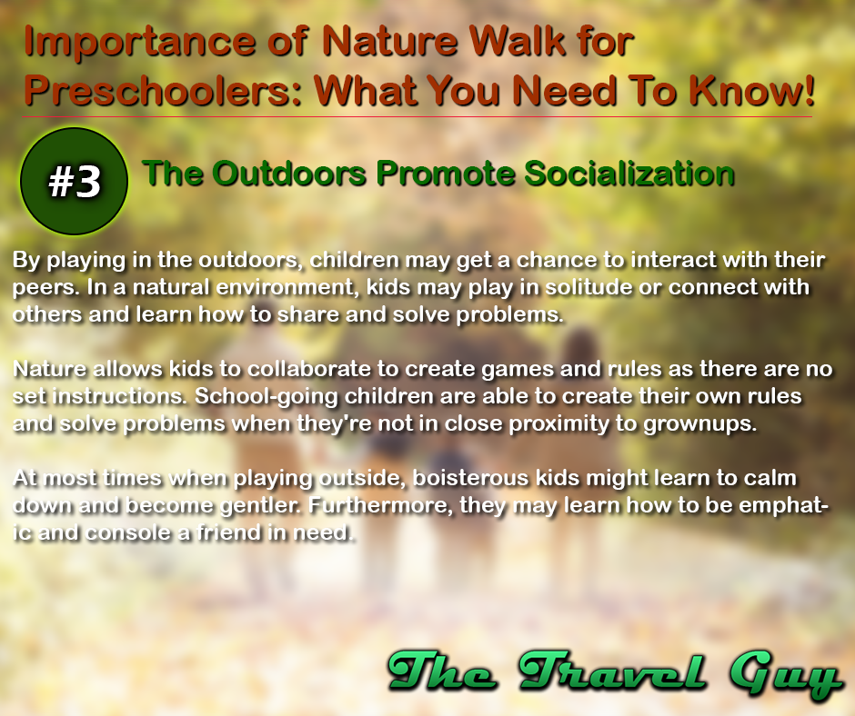 The Travel Guy Importance of Nature Walk for Preschoolers
