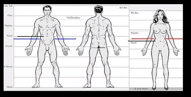 TRANSVESTIGATION IMAGES