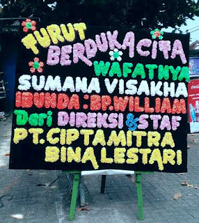 bunga dukacita lampung bunga dukacita lampung