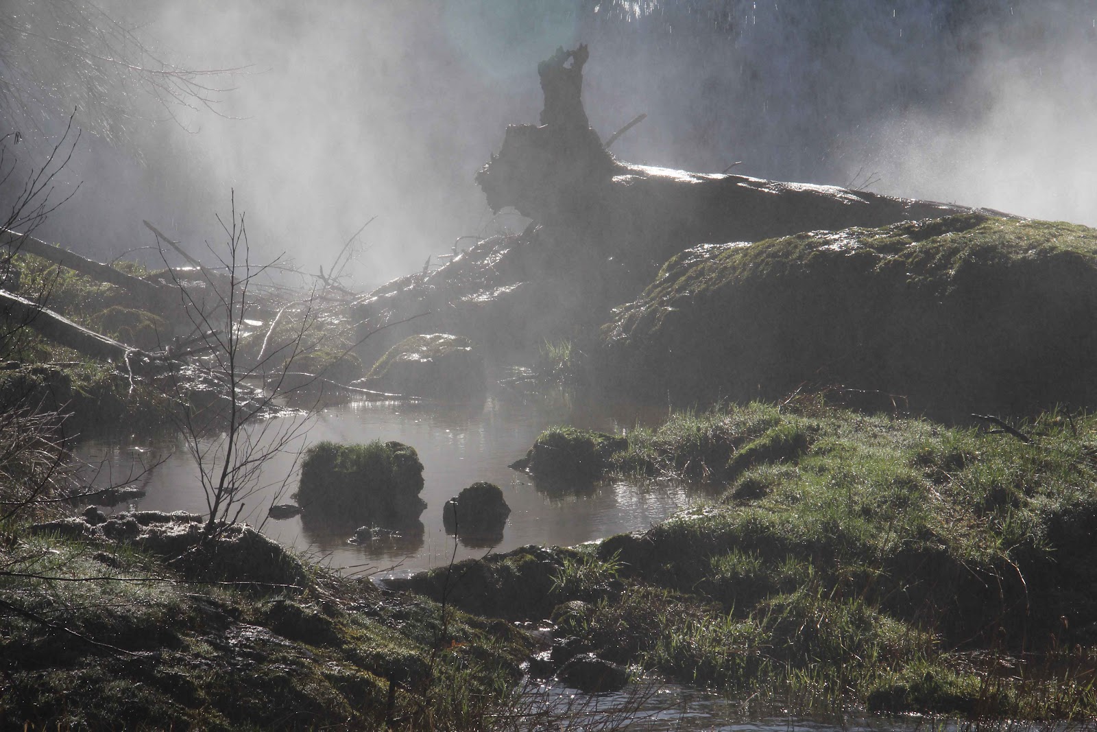 the bog of eternal stench the bog of eternal stench