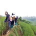 Why is trekking in Sapa the best?