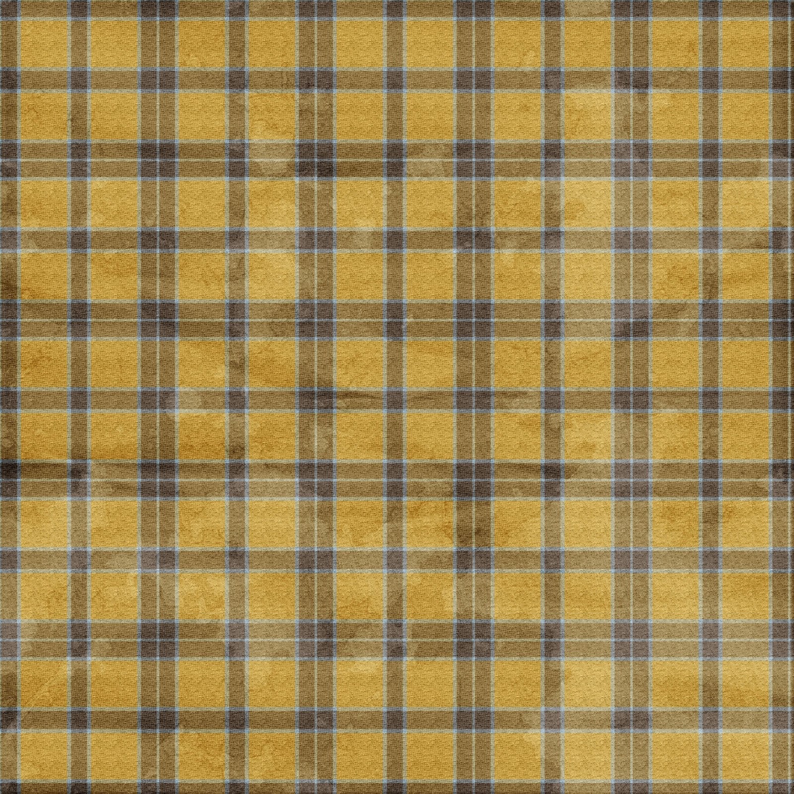 Create with TLC PAPERS