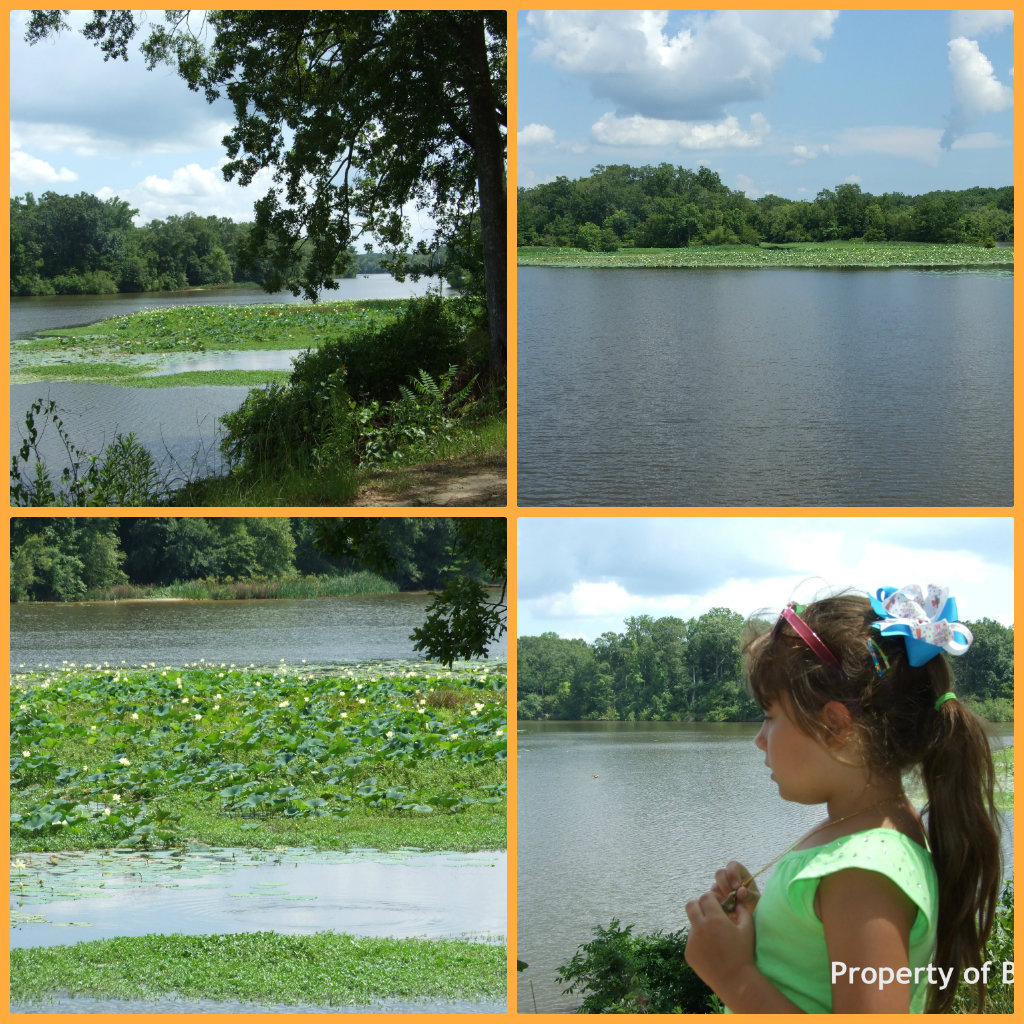 Vacation Files Ross Reservoir, Jackson, MS