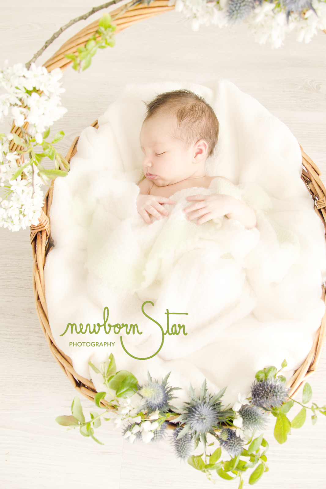 http://newborn-star.blogspot.pt/ - ema magalhães newborn photography - porto - portugal