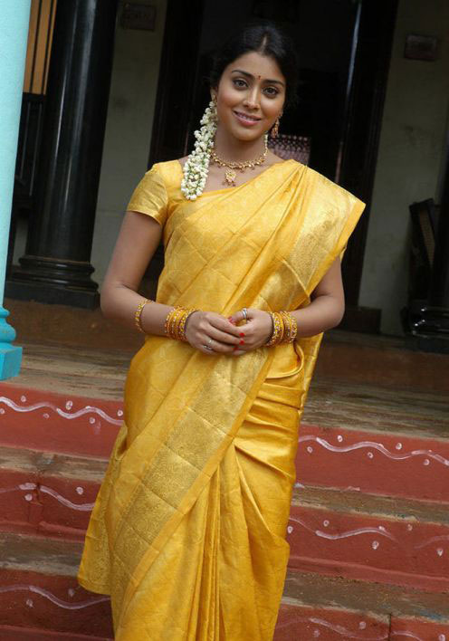 Shreya Saran Hot Photos - PHOTO & WALLPAPER GALLERY