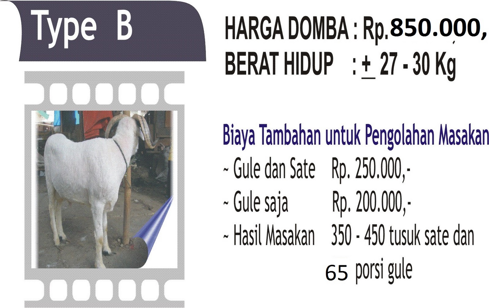 harga domba aqiqah di Bandung