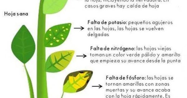 De sintomas y sus falta potasio