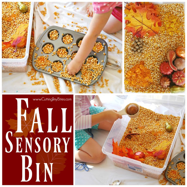 Sensory bin for fall. Great for toddlers, preschoolers, or older children!