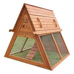 chicken coop build considerations