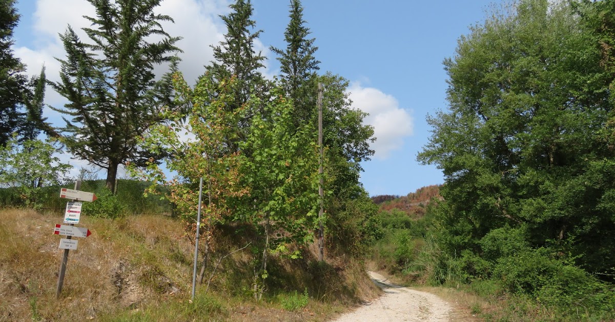 Itineris Mei Il bosco delle Cesane un mese dopo il grande rogo