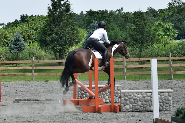 Swedish Oxer They Neigh, I Pay