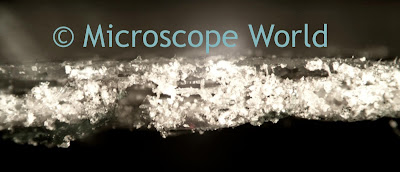 metallurgical microscope adhesive image