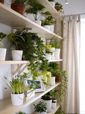 Ideas para tener un jardin interior en casa