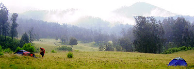 Wisata Menarik Kota Situbondo ( Padang runput sikasur) Wisata Menarik Kota Situbondo ( Padang runput sikasur)