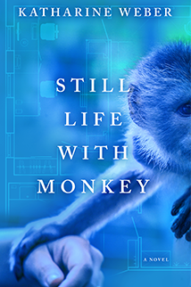 i know a monkey book