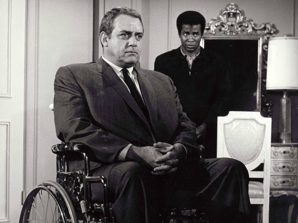 THE GRANDMA'S LOGBOOK RAYMOND BURR PERRY MASON, IRONSIDE AND ORCHIDS
