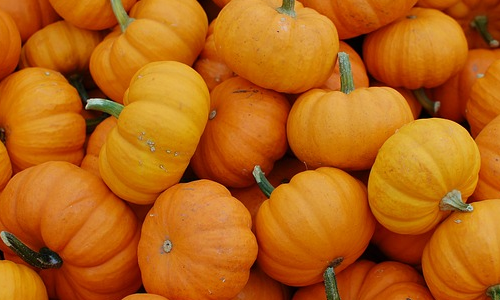 A pile of fall foods including pumpkins!