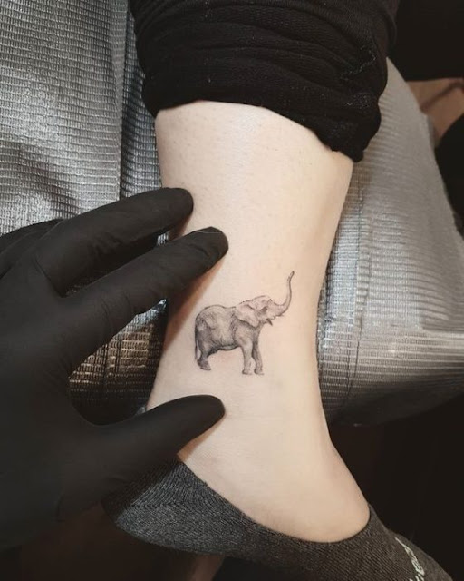 Tatuagens de elefante Tatuagens de elefante