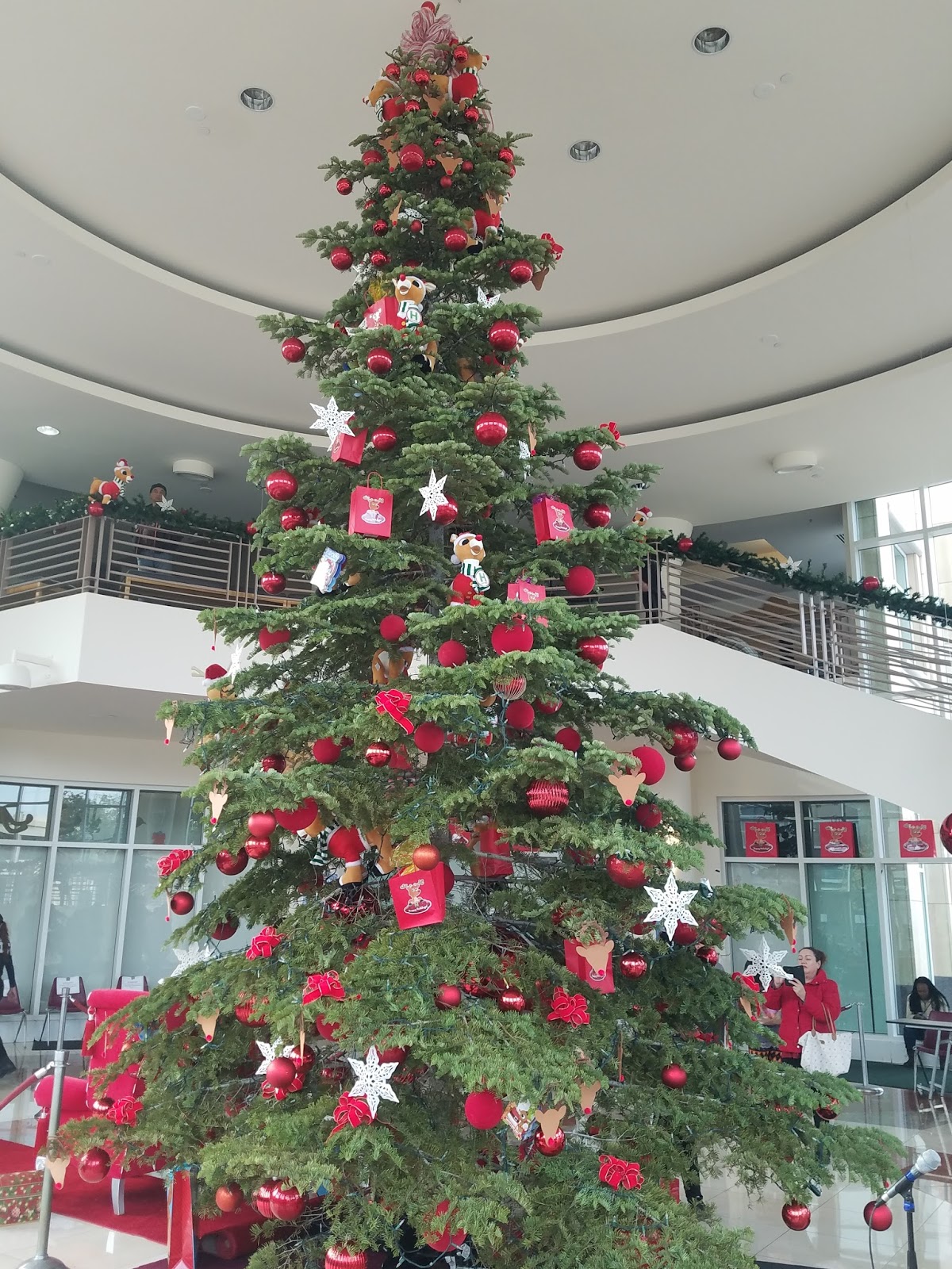 Adventures in Weseland Downtown Hayward Tree Lighting and Santa Con