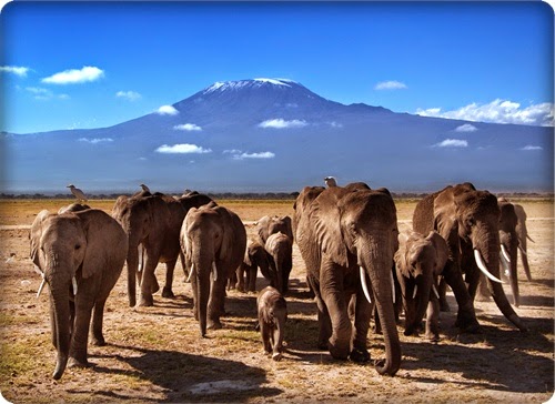 kenya