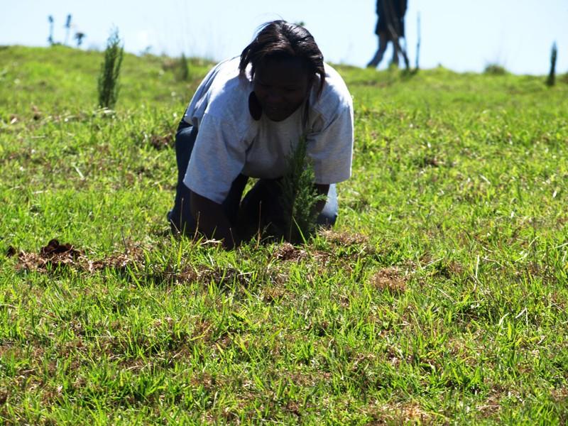 Kenya Forests The 2011 National Tree Planting Season Launched
