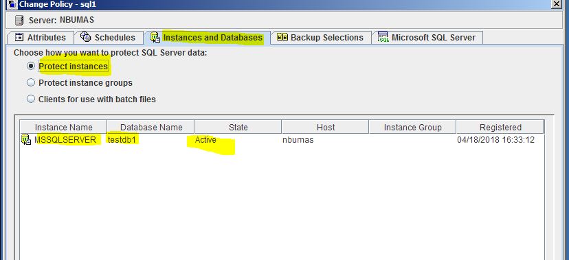 Remote Infrastructure Management: MS SQL SERVER Backup and Recovery ...