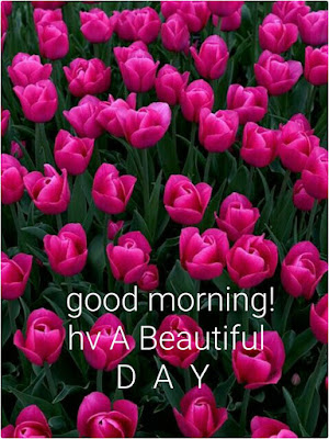 Good Morning Good Morning