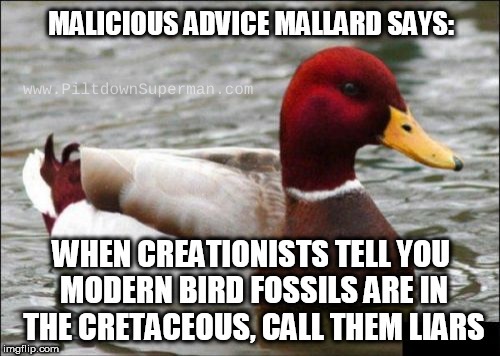 Although evolutionists try to deny it, modern-type bird fossils are found in the Cretaceous layer