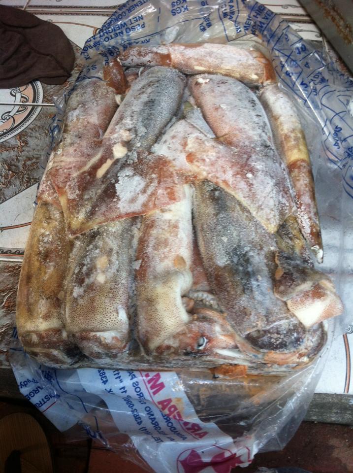 Hải sản đông lạnh thường thấy trên thị trường