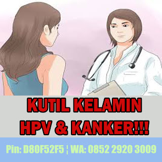 Obat Kutil Kelamin Obat Kutil Kelamin