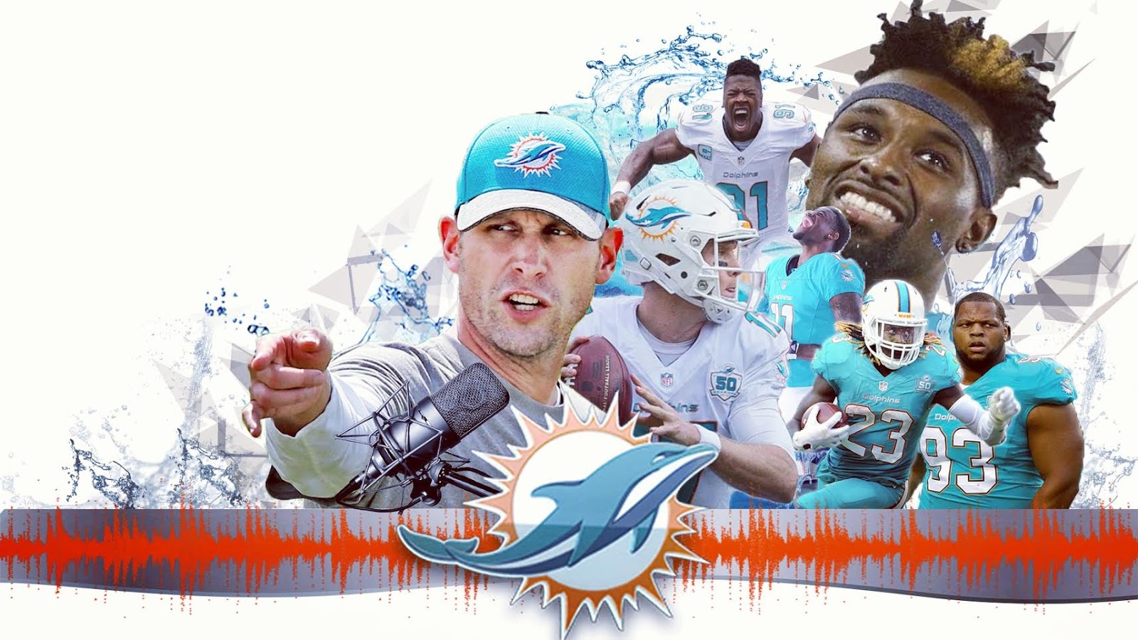 Help Fellow Miami Dolphins Fans with Hurrican Irma Relief Give 1 or