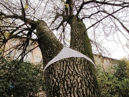 Gambar pohon pakai celana dalam