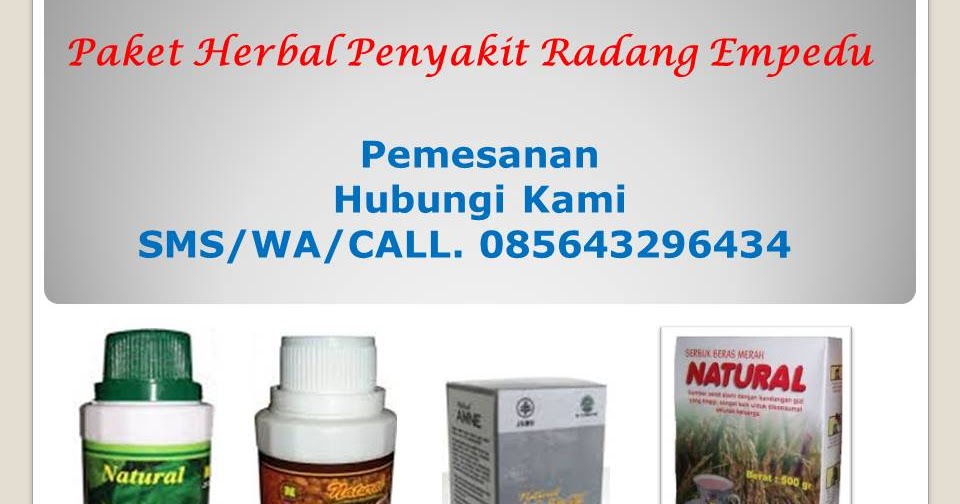 Jual Paket Herbal Penyakit Radang Empedu Distributor 
