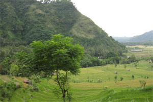 lembah pantunan - bali 6 corner