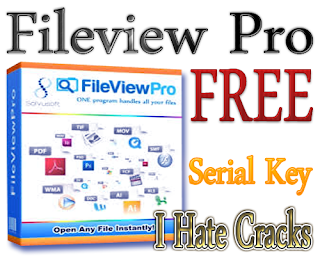 fileviewpro 1.1.0.0 activation key