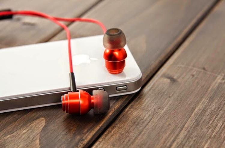 Noise Isolating Pure Bass Earbuds
