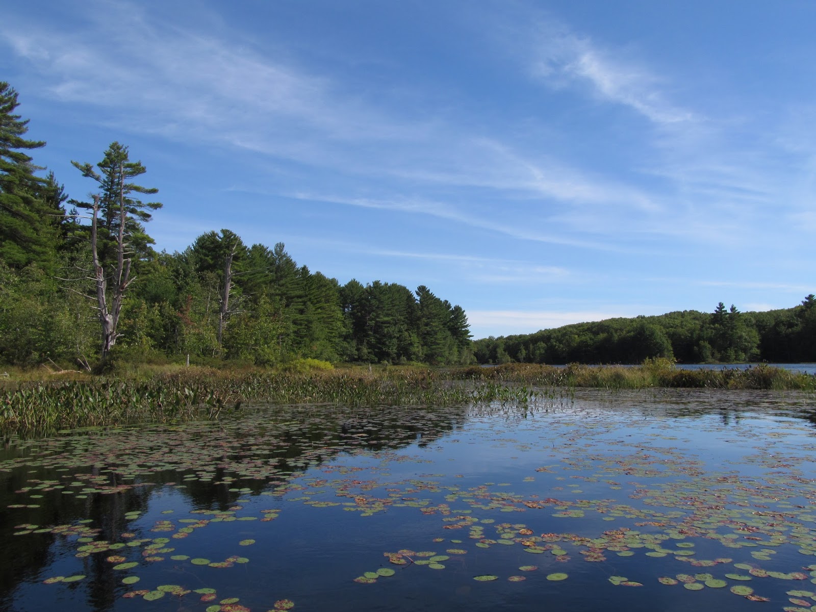 Recreational Kayaking in Maine Roberts Pond, Lyman