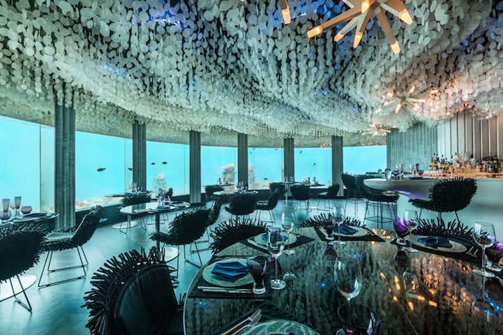 The space used to be a nightclub, but now it's been transformed into an upscale restaurant located six meters underneath the waterline. - This Is The Most Amazing Restaurant On Earth, Only It Isn’t ON The Earth.