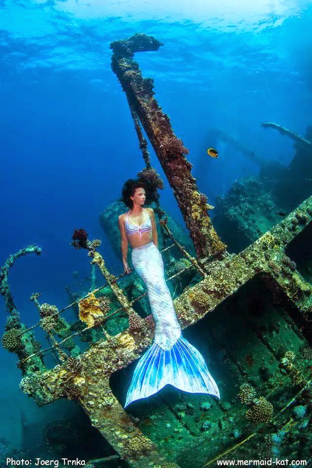Cynthia Mermaid: Mermaid Kat Cynthia Mermaid: Mermaid Kat